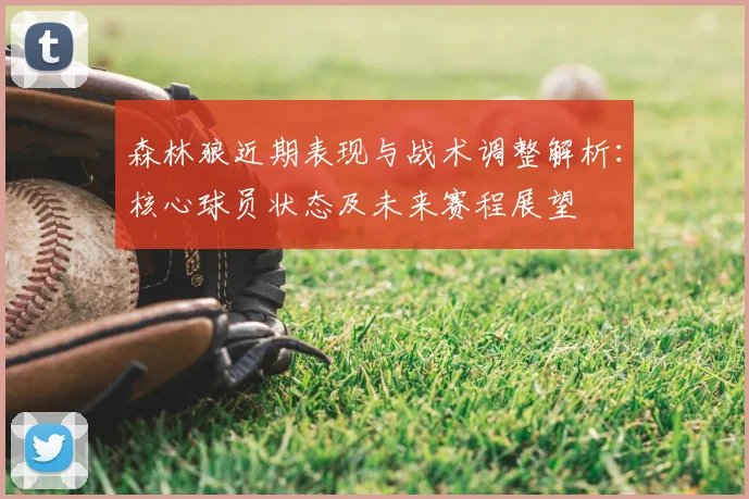 森林狼近期表现与战术调整解析：核心球员状态及未来赛程展望