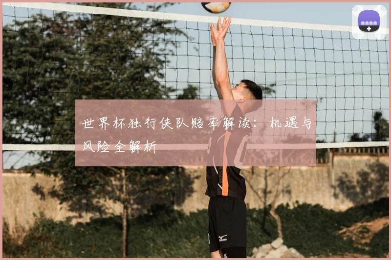 世界杯独行侠队赔率解读：机遇与风险全解析