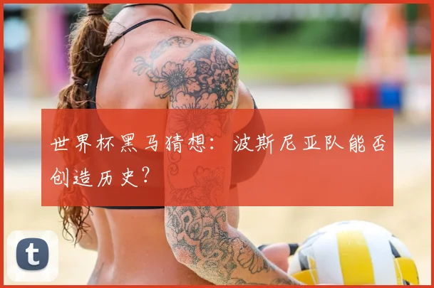 世界杯黑马猜想:波斯尼亚队能否创造历史?