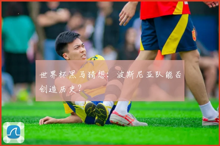 世界杯黑马猜想:波斯尼亚队能否创造历史?