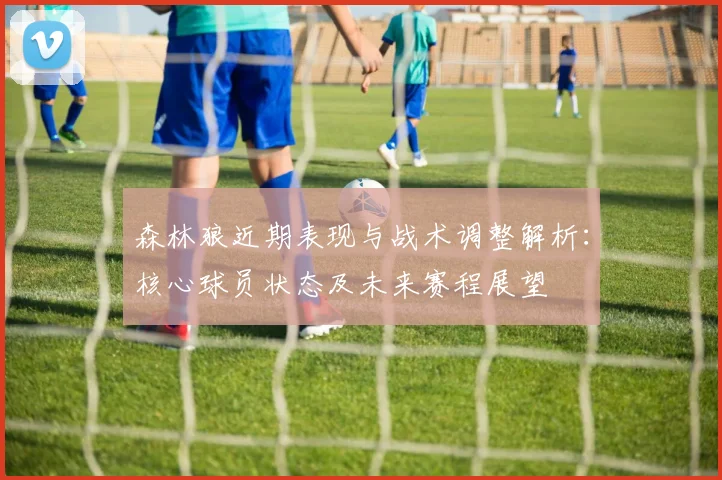 森林狼近期表现与战术调整解析：核心球员状态及未来赛程展望